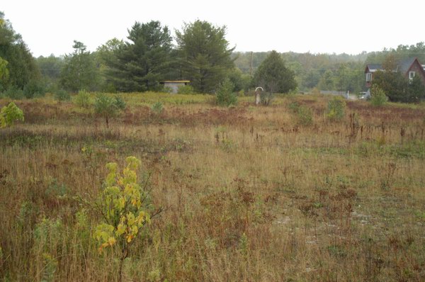 Lakes Drive-In Theatre - The Lot (newer photo)
